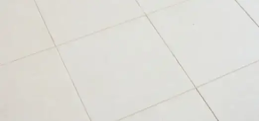 grout and tile repair near me